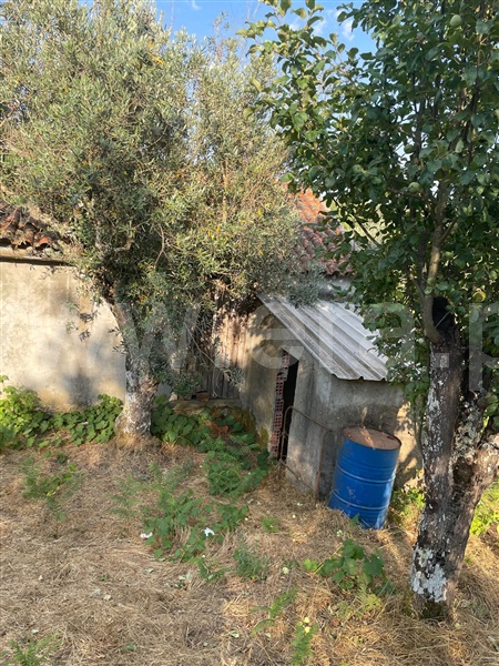 Terreno  Covilhã, Erada - 1500637 - 3