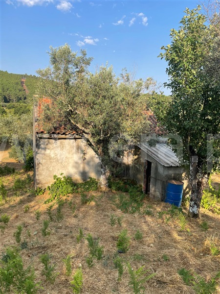 Terreno  Covilhã, Erada - 1500637 - 4