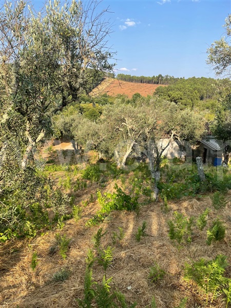 Terreno  Covilhã, Erada - 1500637 - 6