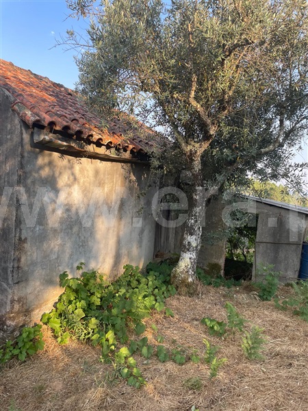 Terreno  Covilhã, Erada - 1500637 - 16