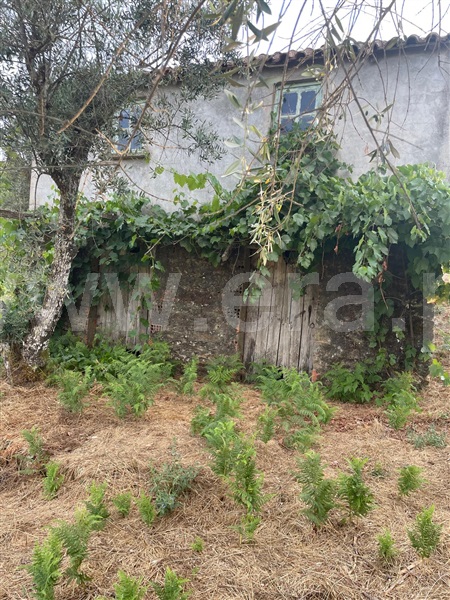 Terreno  Covilhã, Erada - 1500637 - 18