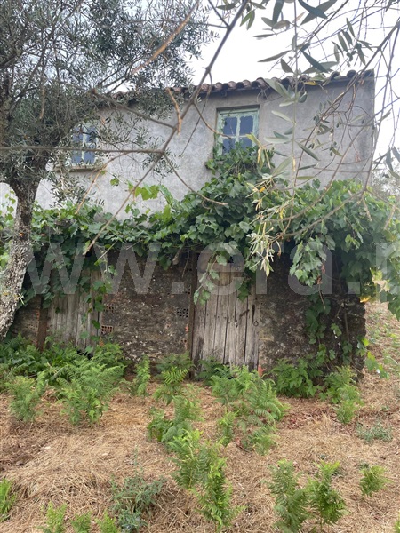 Terreno  Covilhã, Erada - 1500637 - 19