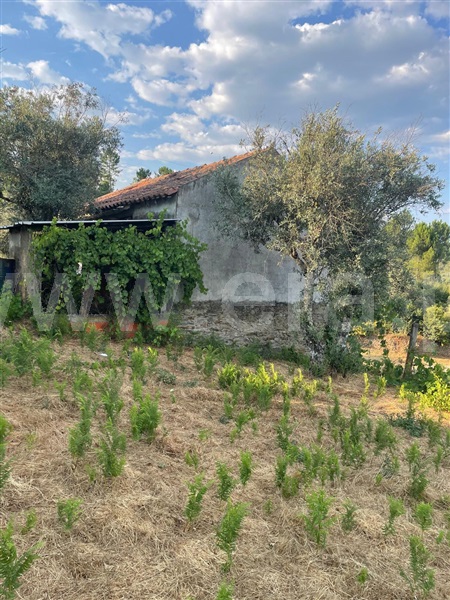 Terreno  Covilhã, Erada - 1500637 - 20