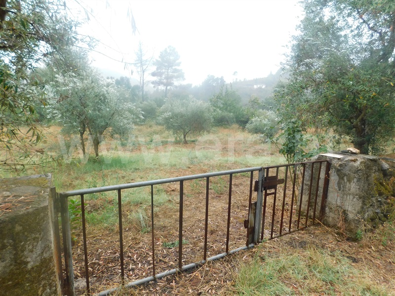 Terreno / Covilhã, Ourondo