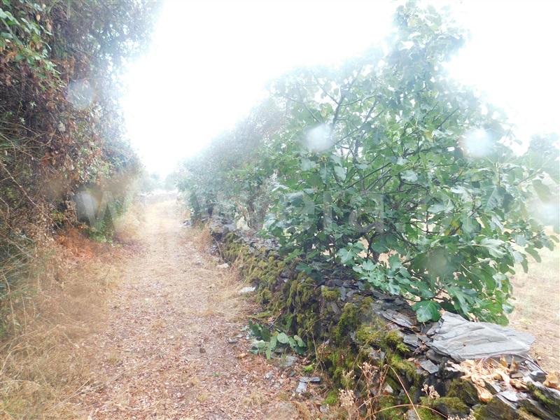 Terreno  Covilhã, Ourondo - 1198447 - 4