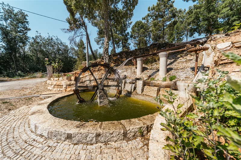 Terreno  Covilhã, Ourondo - 1491206 - 13
