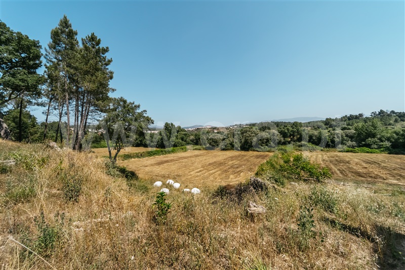 Terreno  Covilhã, Ourondo - 1491206 - 25