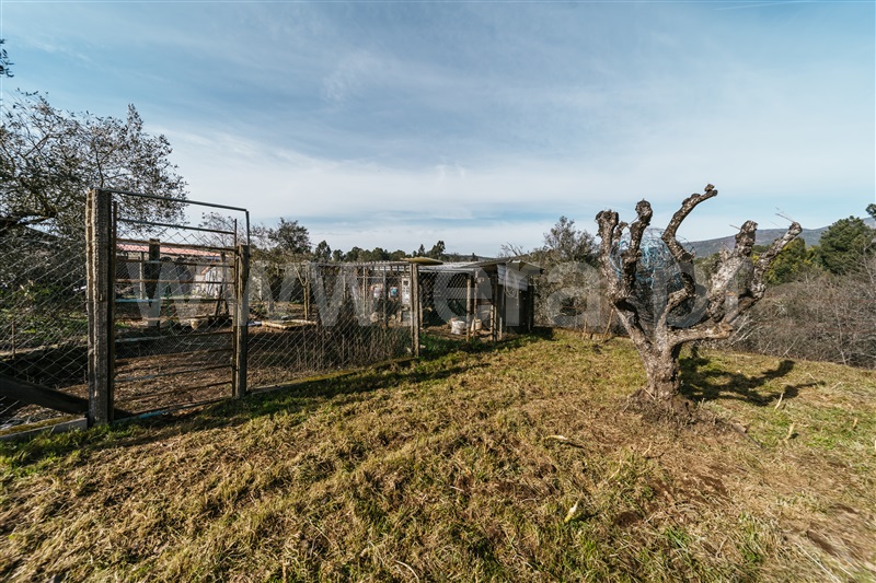 Terreno  Covilhã, Paul - 1460221 - 30