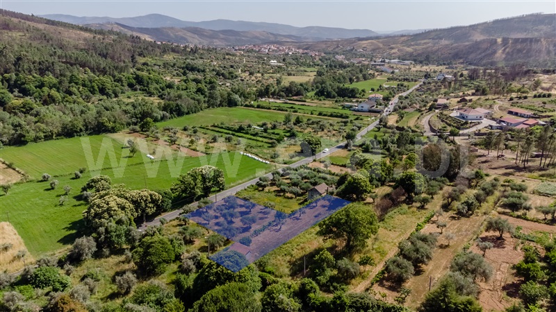 Terreno / Covilhã, Paul