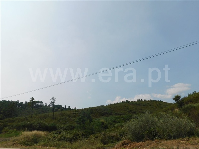 Terreno  Covilhã, Peso e Vales do Rio - 1337906 - 5