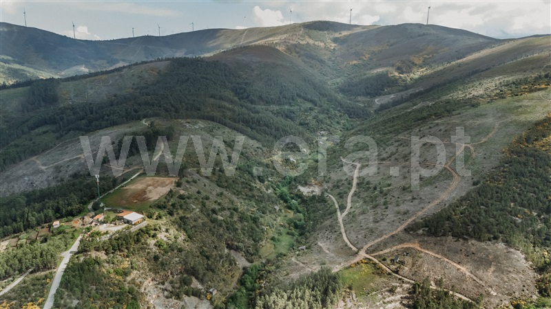 Terreno  com Rústico Covilhã, Sobral de São Miguel - 1475737 - 2