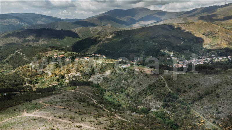 Terreno  com Rústico Covilhã, Sobral de São Miguel - 1475737 - 4