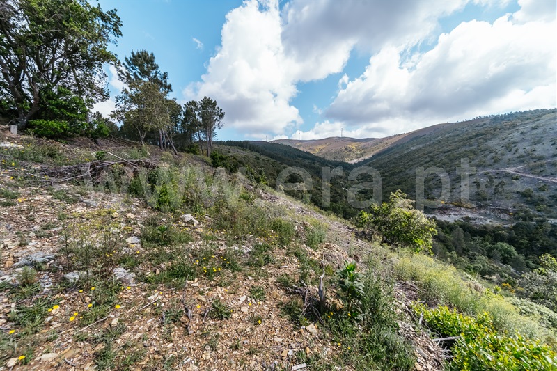 Terreno  com Rústico Covilhã, Sobral de São Miguel - 1475737 - 18