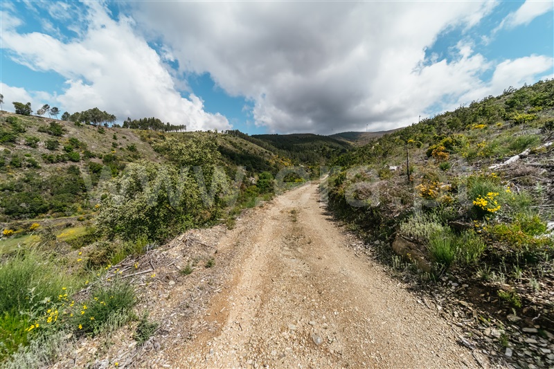 Terreno  com Rústico Covilhã, Sobral de São Miguel - 1475737 - 25