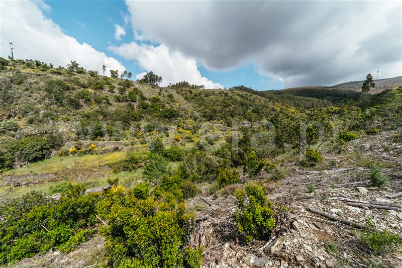 Terreno  com Rústico Covilhã, Sobral de São Miguel - 1475737 - 31