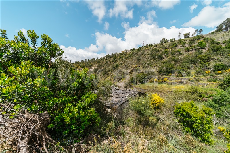 Terreno  com Rústico Covilhã, Sobral de São Miguel - 1475737 - 33