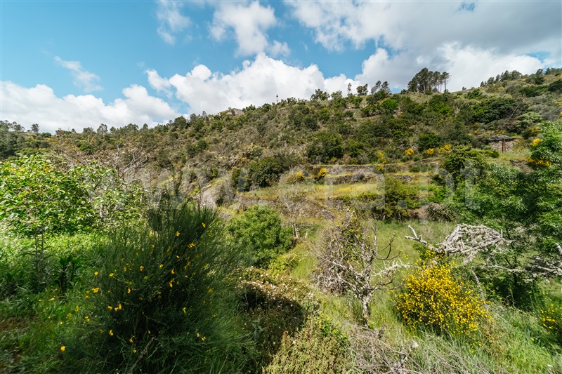 Terreno  com Rústico Covilhã, Sobral de São Miguel - 1475737 - 36
