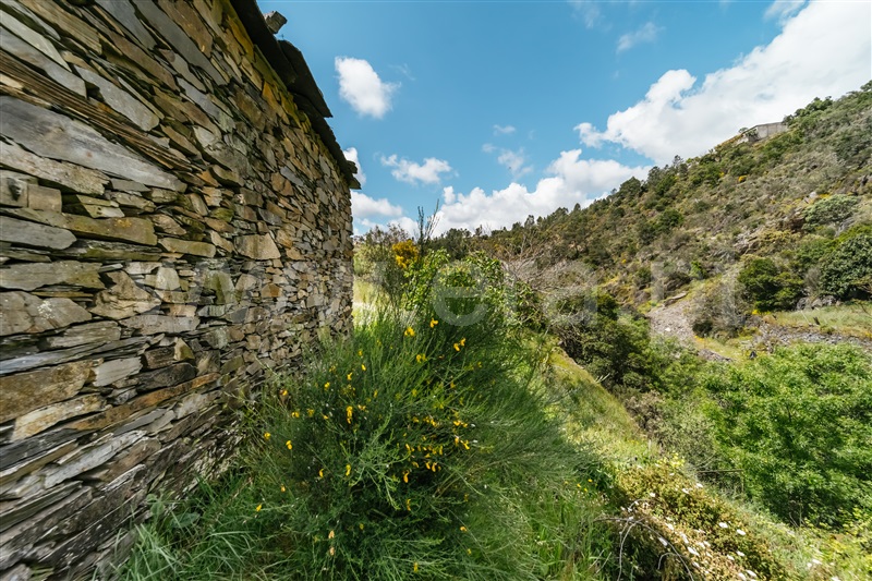 Terreno  com Rústico Covilhã, Sobral de São Miguel - 1475737 - 39