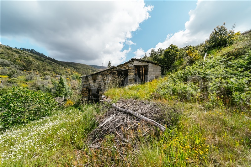 Terreno  com Rústico Covilhã, Sobral de São Miguel - 1475737 - 42
