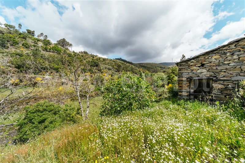 Terreno  com Rústico Covilhã, Sobral de São Miguel - 1475737 - 46