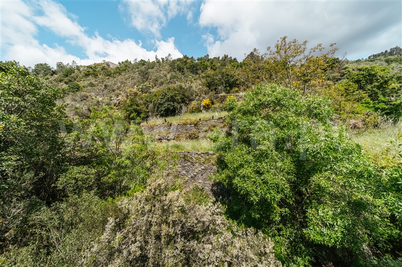 Terreno  com Rústico Covilhã, Sobral de São Miguel - 1475737 - 53