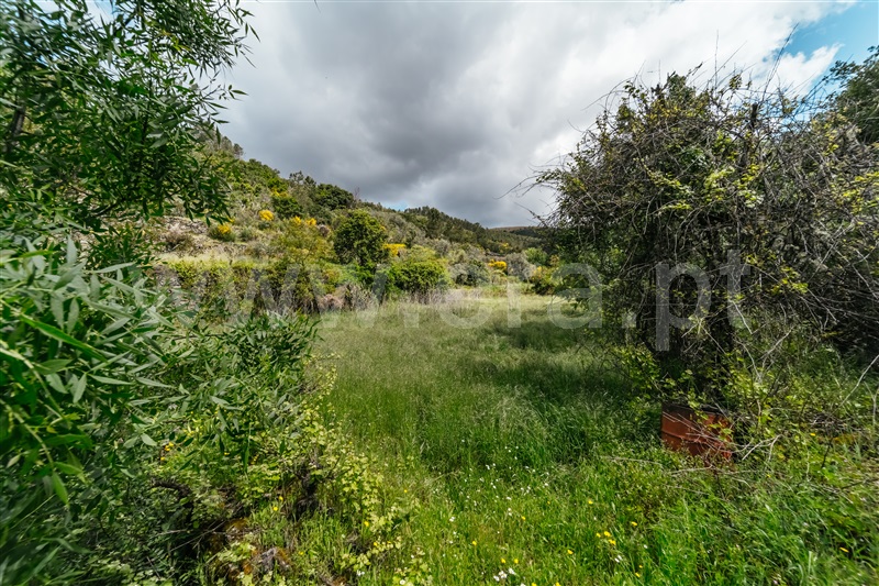 Terreno  com Rústico Covilhã, Sobral de São Miguel - 1475737 - 54