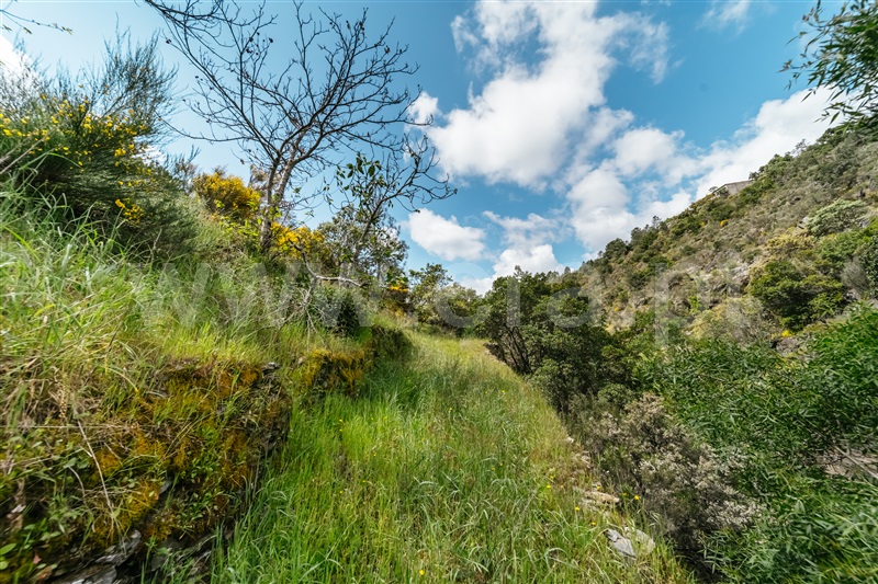Terreno  com Rústico Covilhã, Sobral de São Miguel - 1475737 - 55