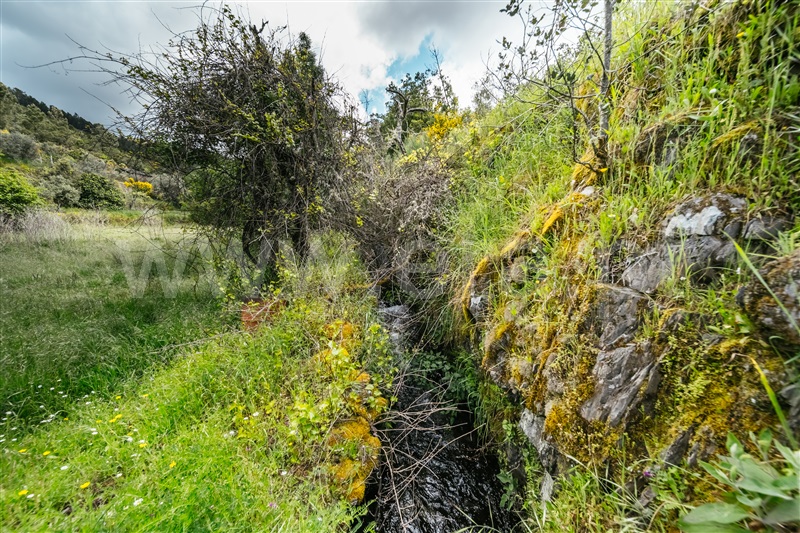 Terreno  com Rústico Covilhã, Sobral de São Miguel - 1475737 - 56