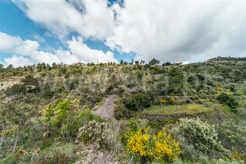 Terreno  com Rústico Covilhã, Sobral de São Miguel - 1475737 - 59