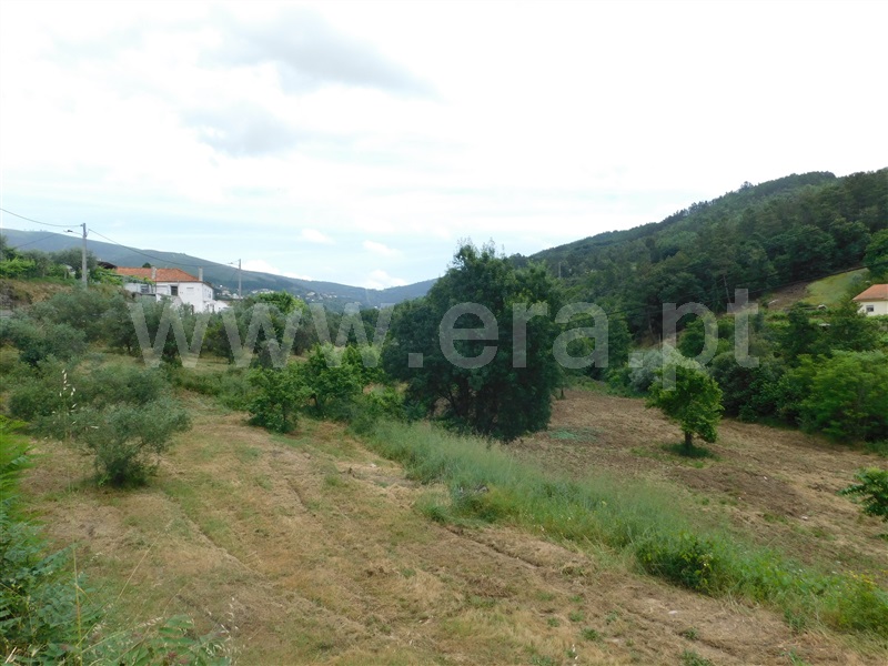 Terreno / Covilhã, Teixoso