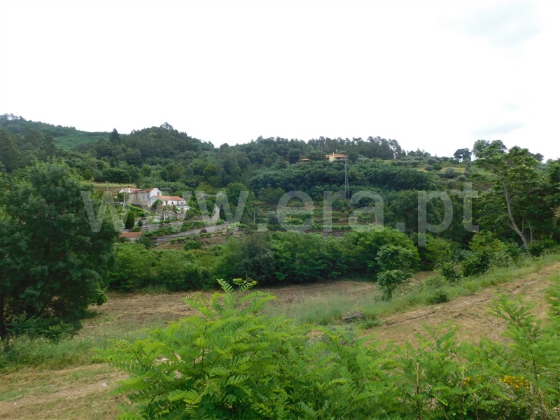 Terreno  Covilhã, Teixoso - 1092855 - 3