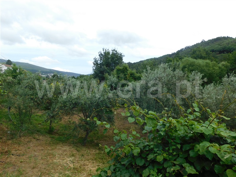 Terreno  Covilhã, Teixoso - 1092855 - 11