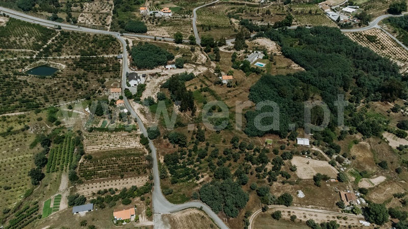 Terreno  com Agrícola Covilhã, Teixoso - 1214917 - 6