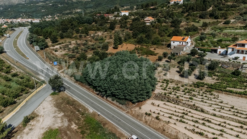 Terreno  Covilhã, Teixoso - 1415182 - 11