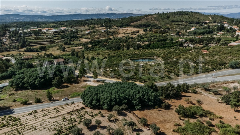 Terreno  Covilhã, Teixoso - 1415182 - 15