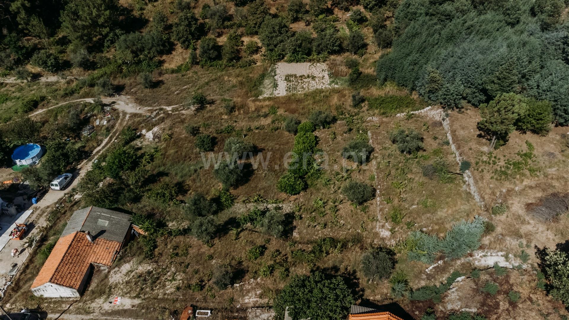 Terreno