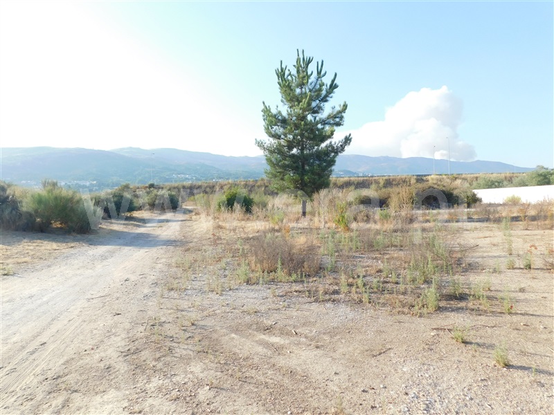Terreno  Covilhã, Tortosendo - 1265785 - 5