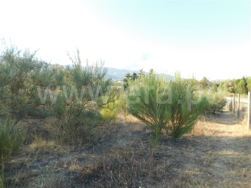 Terreno  Covilhã, Tortosendo - 1265785 - 8