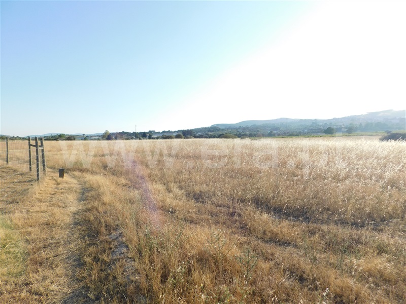 Terreno / Covilhã, Tortosendo