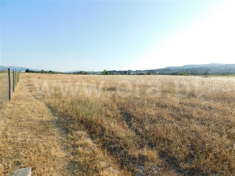 Terreno  Covilhã, Tortosendo - 1265785 - 12