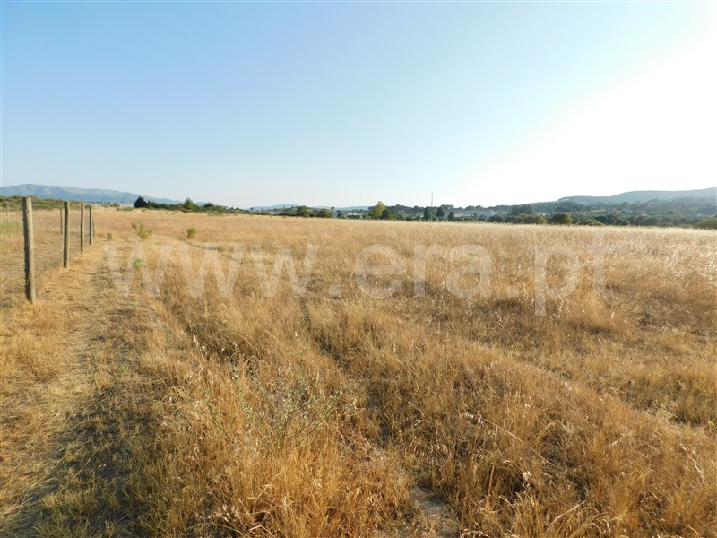 Terreno  Covilhã, Tortosendo - 1265785 - 13