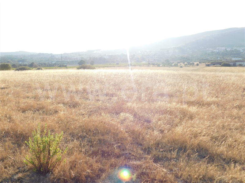 Terreno  Covilhã, Tortosendo - 1265785 - 15