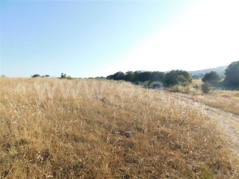 Terreno  Covilhã, Tortosendo - 1265785 - 18