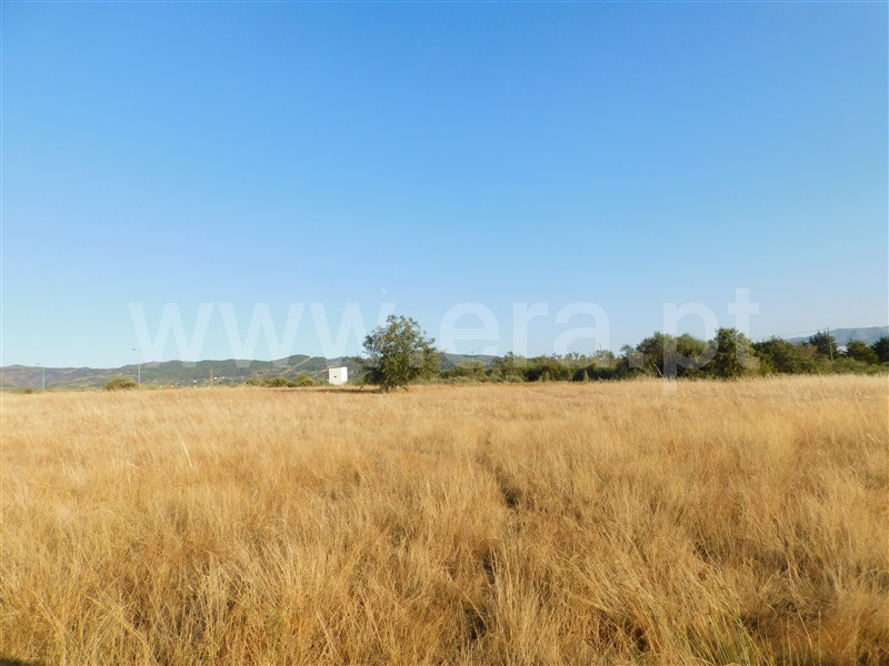 Terreno  Covilhã, Tortosendo - 1265785 - 19