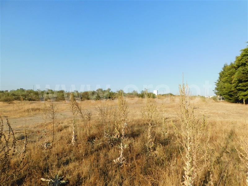 Terreno  Covilhã, Tortosendo - 1265785 - 22