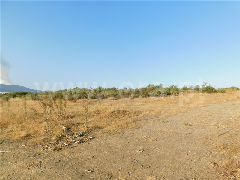Terreno  Covilhã, Tortosendo - 1265785 - 24
