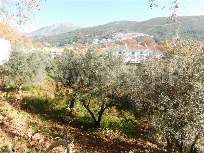 Terreno  Covilhã, Unhais da Serra - 1370688 - 1