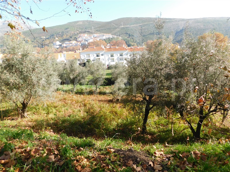 Terreno  Covilhã, Unhais da Serra - 1370688 - 2
