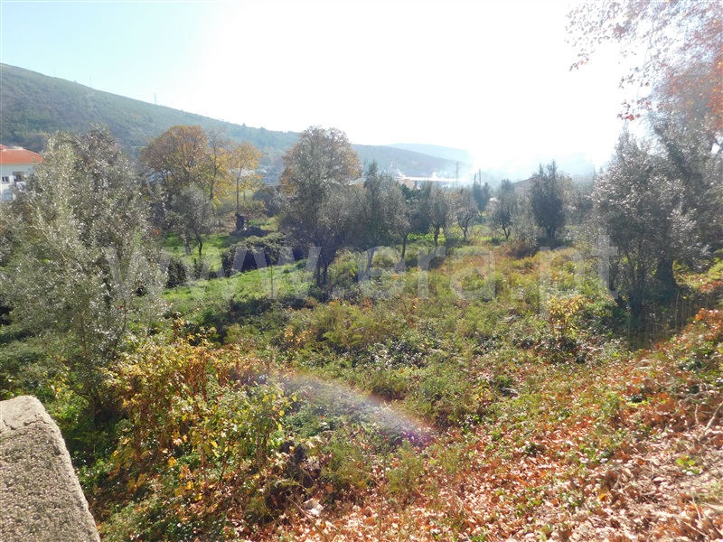 Terreno  Covilhã, Unhais da Serra - 1370688 - 3