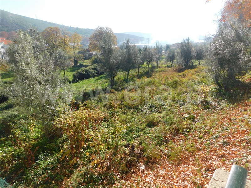 Terreno  Covilhã, Unhais da Serra - 1370688 - 4